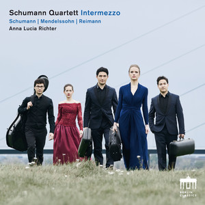 6 Songs, Op. 107: II. Die Fensterscheibe