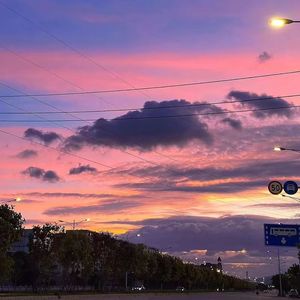 楼顶上的小斑鸠