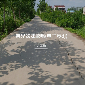 弟兄姊妹歌唱(电子琴dj)