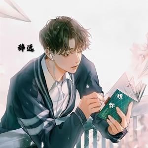花还在开1