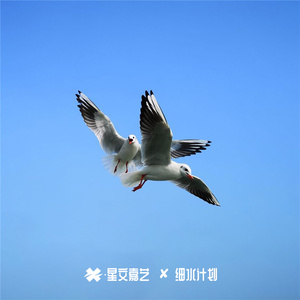 艾力哒哒全麻 第六季