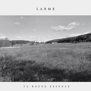 Larme