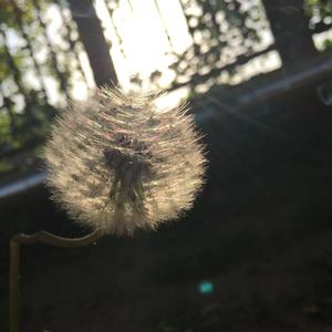 人间清醒y / 人间清醒y-IMG_20220418_0225200（人间清醒y remix）