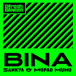 Bina (Afrobeat)