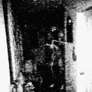 Ментальный инвалид