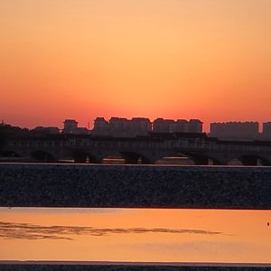 青春颂