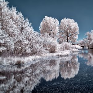 In a Gingerbread House