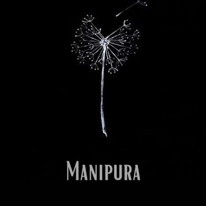 Interludio de la Luz de las Estrellas