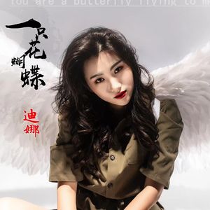 一只花蝴蝶(DJ版)