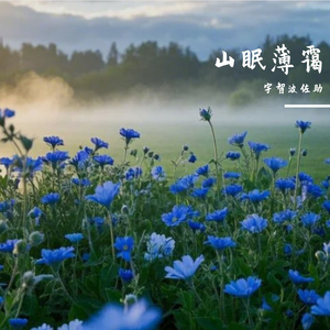 山眠薄霭