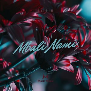 Mbali Nami