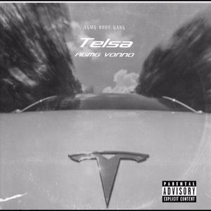 Telsa