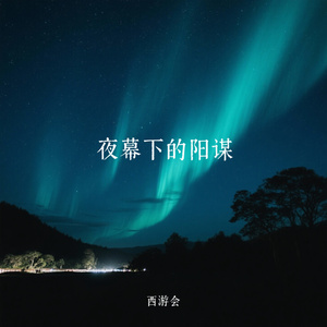夜幕下的阳谋