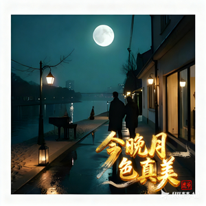 今晚月色真美