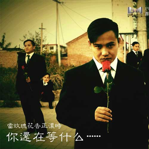 你还在等什么(DJ版)