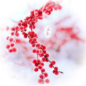 立冬ver2（初音ミク）