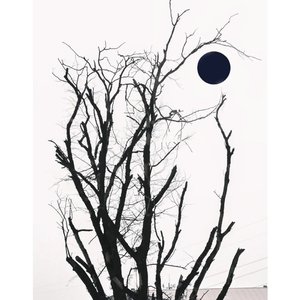 哪里都是你（现场合唱版）