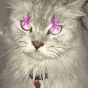 人生如戏