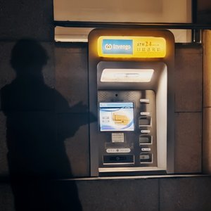 你当像鸟飞往你的山