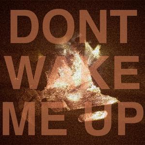 Don't Wake Me Up