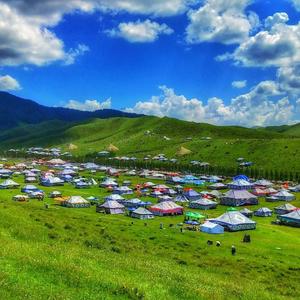 我要醉在草原上