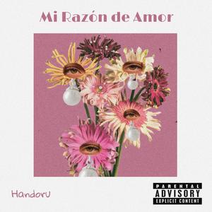 Mi Razon de Amor