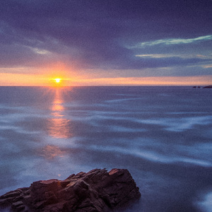 Tranquil Coral Reefs