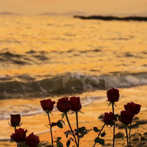 新录音 4_175125_track0_175125