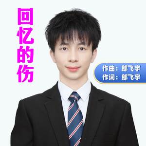 回忆的伤