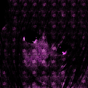 Arimasen Ana Ash Tonaaaaaaa