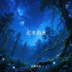 迟来的光