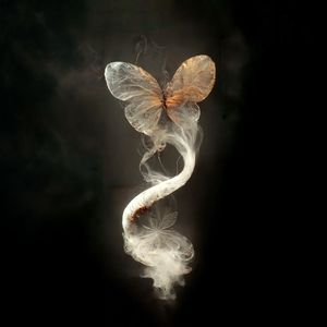 破茧_175341245296662027_1759466490975