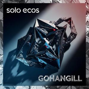 Solo ecos