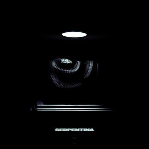 SERPENTINA
