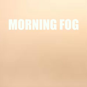 Concerto for Piano and Orchestra in D major, No 2: III