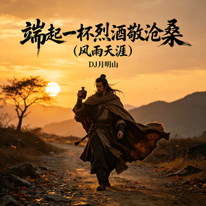 端起一杯烈酒敬沧桑(风雨天涯)