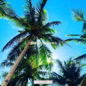 适合居家办公忧郁的音乐