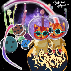 Созвучие сердец