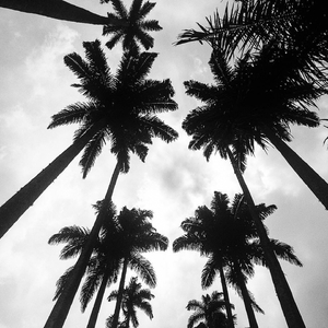 She is not your Mother (Original Mix)