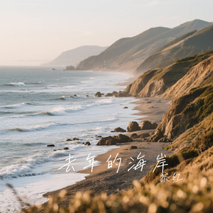 去年的海岸