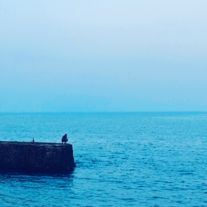 浴室816