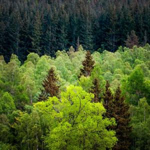 SUMMER HEAT (feat. Gwash & LaynieBaybie)