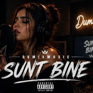 DumiXMusic & Adina (Sunt Bine) (Radio Edit)