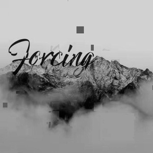 Forcing（SHENG Remix）