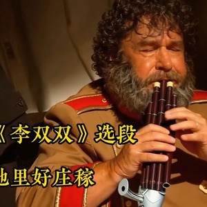 洼洼地里好庄稼