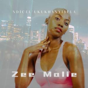 Ndicel' ukukhanyisela