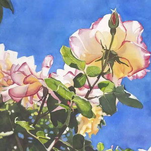 oh honey（原曲：ハロ/ハワユ）