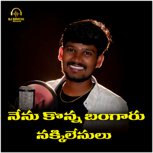 Nenu Konna Bangaru Nakkilesulu