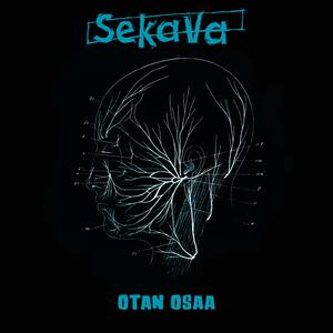 Otan Osaa