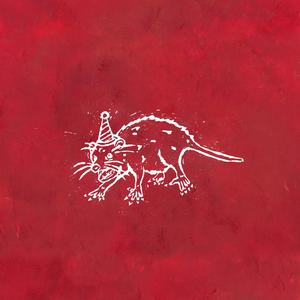 Possum